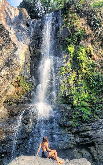 Un voyage nature au costa rica avec morpho evasions